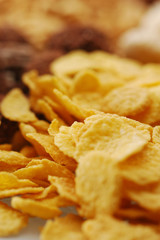 Cereals