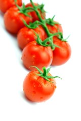 Strauchtomaten