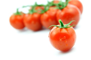 Strauchtomate