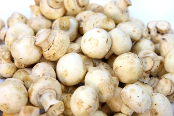 Champignons