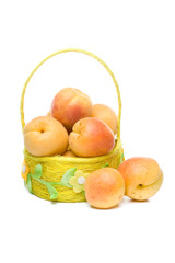 Fresh apricots