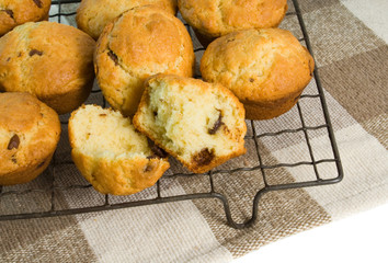 Chocolate chip muffins