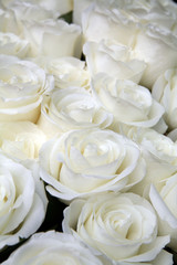 background from beautiful bouquet of roses