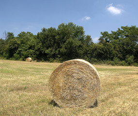 balle di fieno