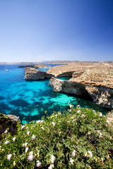 Malta Landscape - obrazy, fototapety, plakaty