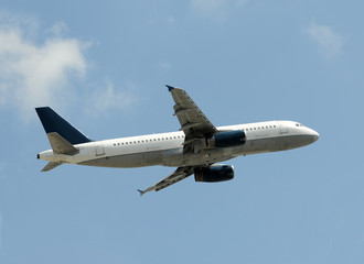 Fototapeta na wymiar Passenger jet taking off