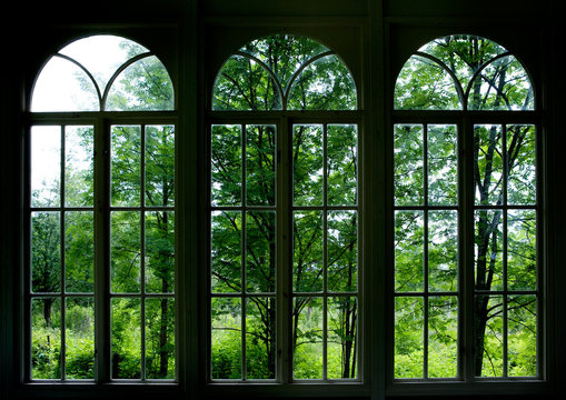 Fototapeta Garden Window