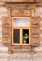 Flower in a pot  behind the decorated window