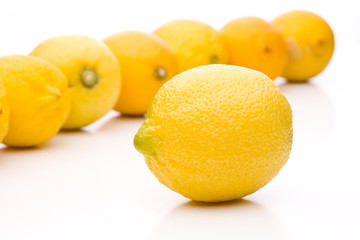 Einzelne Zitrone vor einer Reihe von Zitronen