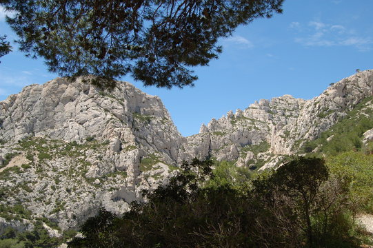 garigue