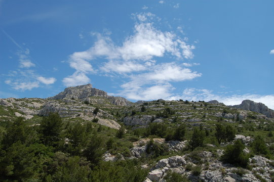 garigue
