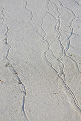 Sand veins