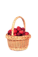 Fototapeta na wymiar Wild strawberry in a basket.