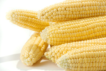 corn