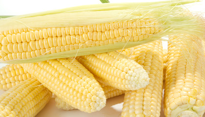 corn