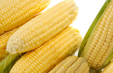 corn
