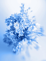Abstract flowers in vase in blue tone