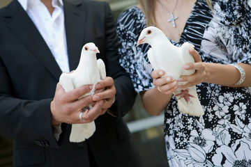 two white pigeons