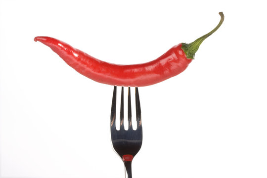 single red hot chili pepper on a fork © Bernd Jürgens