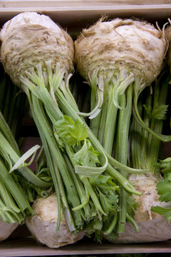 celeri