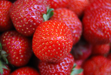 Ripe strawberrys close up