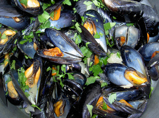 moules