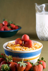 Corn Flakes Breakfast