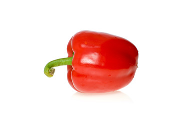 Single red sweet pepper
