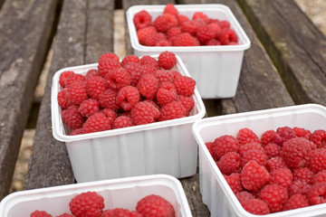 freshly picked raspberries on old picknick table