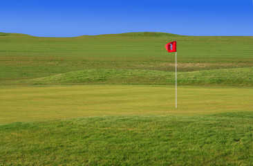 Green golf court