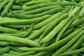Bohne - bean 01