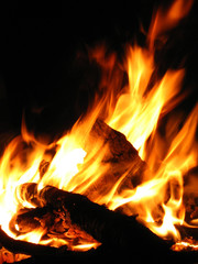 Beach fire
