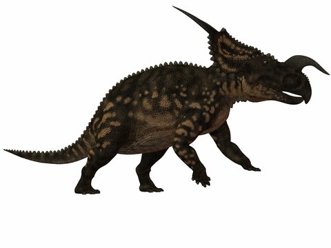 Einiosaurus-3D Dinosaurier