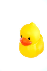 Yellow Rubber Duck Isolated on White Background