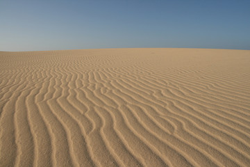 Fototapeta na wymiar géométrie dans les dunes