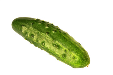 cucumber - isolated on white