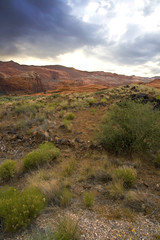 Snow Canyon - Utah