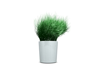 Grass on the pot