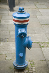 Fototapeta premium Fire Hydrant