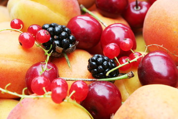 Fruit