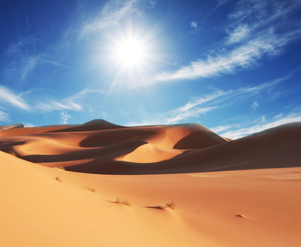 Desert © Galyna Andrushko