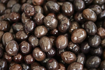 Olive #1