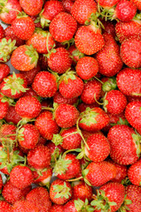 Lots of strawberries arranged as the background