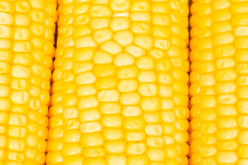 Extreme close up of yellowe corn cobs