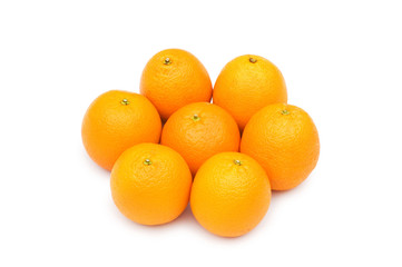 Group of oranges isolated on the white