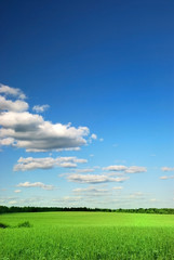 Fototapeta na wymiar Beautiful farmlands with lovely clouds