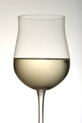 Vino bianco