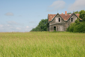 Obraz premium An old abandoned building in a canola field
