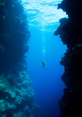 Diver swimming between underwater cliffs
