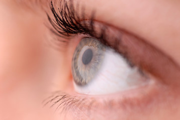 Auge Detail